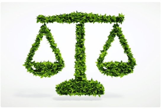 وکیل ابطال سند اصلاحات ارضی (1)