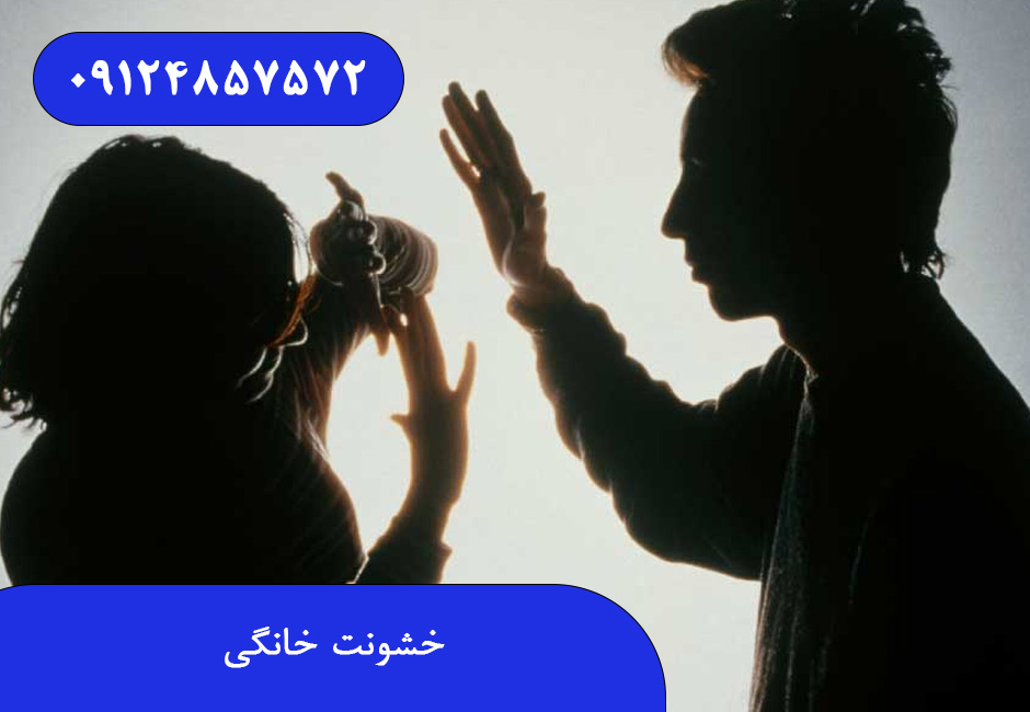 خشونت خانگی